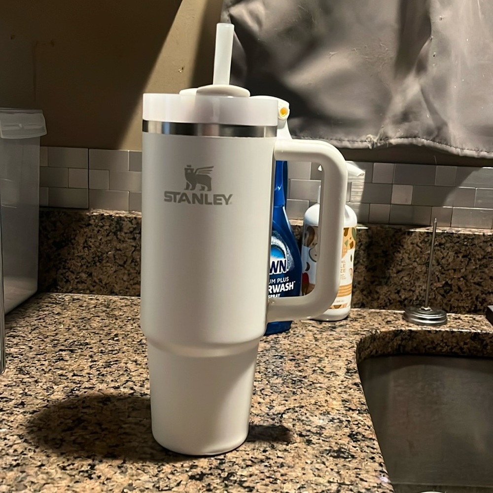 30 ounce white stanley